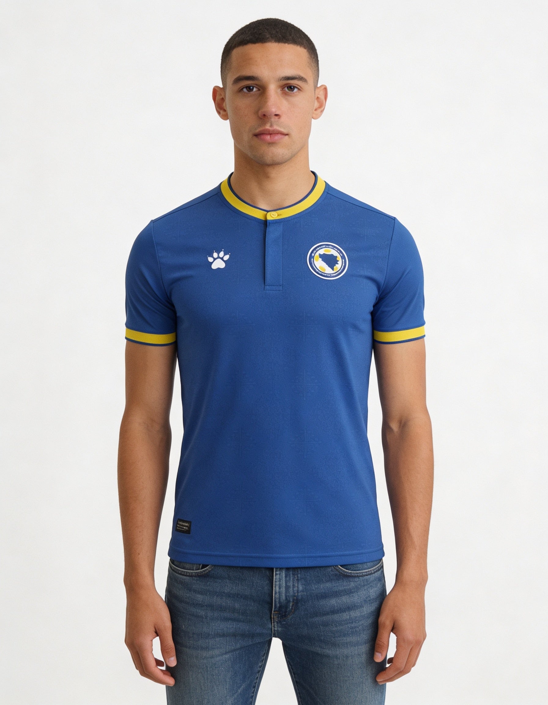 Bosnia and Herzegovina 2026 Concept Home - Fan Version